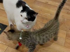 -么么咖啡(燕郊店)