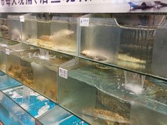 水产区-胖姐渔村(中源大道店)