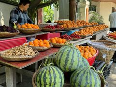 -铁山坪森林公园