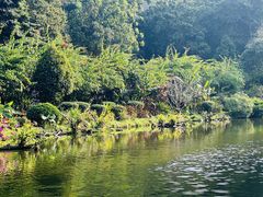 -深圳仙湖植物园