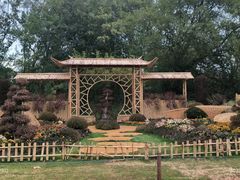 -上海共青森林公园