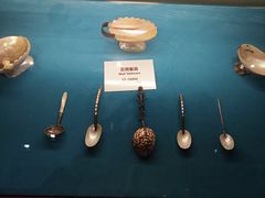 -青岛贝壳博物馆