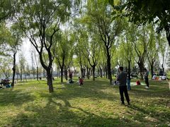 -洨河生态公园