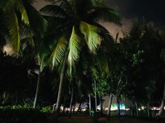 -龙泉人椰子鸡.糟粕醋.海南菜(三亚旗舰店)