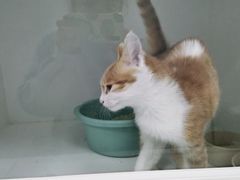 -太原东方动物医院(小店分院)