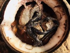 原只椰子炖竹丝鸡-達揚原味燉品(文明路店)