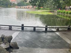 -荔湾湖公园