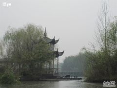 -溱湖国家湿地公园