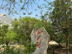 -北京凤凰岭