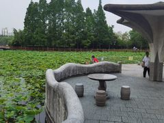 -黄兴公园