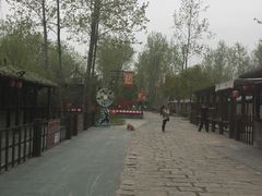 -合肥滨湖国家森林公园