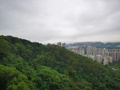 -福道