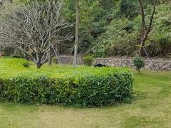 -清湖文化公园