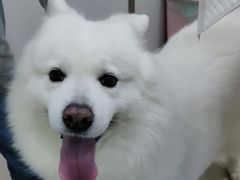 -佳雯宠物医院(金华南路分院)