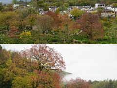 -塔川景区