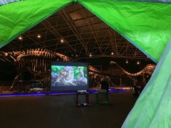 -世界恐龙谷景区