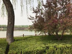 -燕郊植物园