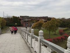-上海海湾国家森林公园