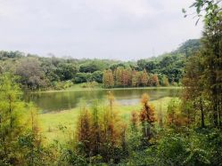 -佛灵湖水上乐园