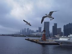 -金海滩海水浴场