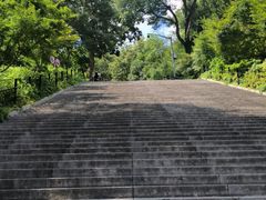 -上海佘山国家森林公园天马山园