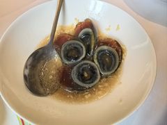 姜汁皮蛋-开海·红岛海鲜虾水饺(石老人店)