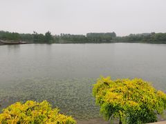 -东郊湿地公园
