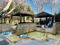 -春晖园度假酒店温泉