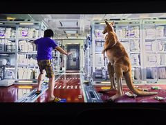 -奥斯卡升龙国际影城(RealD Cinema)