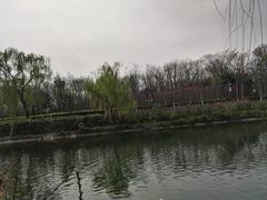 -西安汉城湖景区