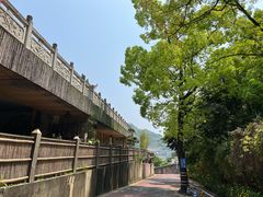-涂山寺素食餐厅