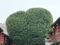 -三坊七巷历史文化街区