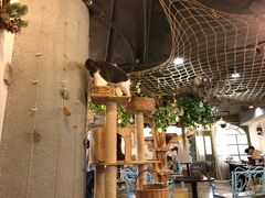 大堂-共舞时光猫咖·狗咖(新街口店)