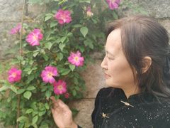 -嘉定紫藤园