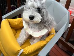 -呼吉牧蒙古烤肉·烧烤·小龙虾