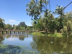 -东郊湿地公园