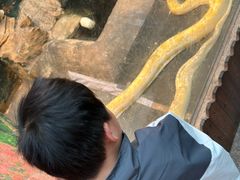 -上海大自然野生昆虫馆(东方明珠·爬宠昆虫探索中心)