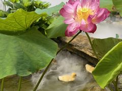 -伴山茶苑·围炉煮茶