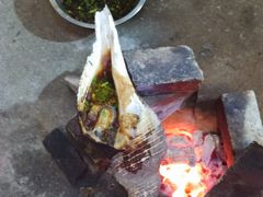 碳烧响螺-郑厨私房菜