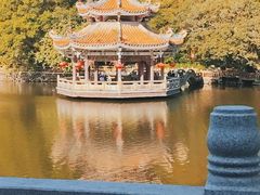 -潮镇老尾牛杂(环城西路店)