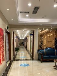 -碧莲盛·不剃发植发