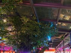 -海岛八号龙虾烧烤田鸡(蓝天路总店)