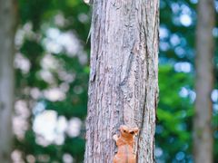 -东怡大酒店(上海科技馆店)
