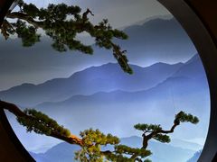 -苏帮袁Sue Cuisine(南开大悦城店)