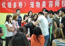 -优缇多格专业宠物美容师培训学校