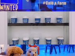 -Blue Concept Cafe&Farm·關於藍