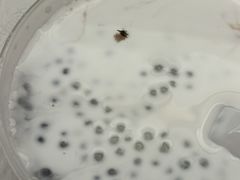 -仁信老铺(嘉信店)