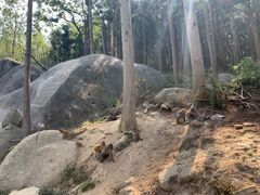 -大围山国家森林公园