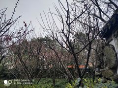 -汇龙潭
