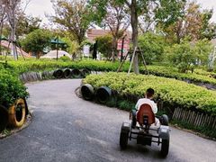 -季高兔窝窝亲子园(上海薰衣草公园店)